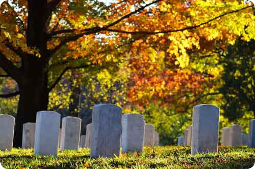Image: /uploads/blog/Grave-Yard-WebFriendly.jpg