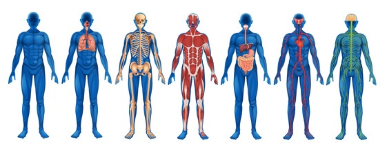 Image: /uploads/pages/body%20to%20science.jpg